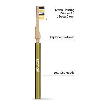 Revolve Toothbrush Starter Set